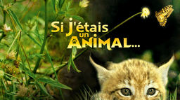 Si j'étais un animal
