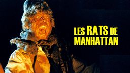 Les rats de Manhattan