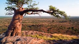 Merveilles d'Afrique
