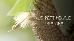 Le peuple des airs