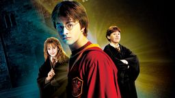 Harry Potter et la chambre des secrets (version longue)