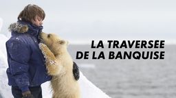 La traversée de la banquise