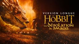 Le Hobbit : la désolation de Smaug (version longue)