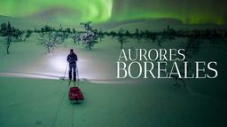 Aurores boréales