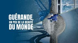 Guérande, un peu de la beauté du monde