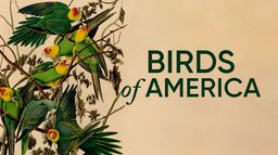 Birds of America