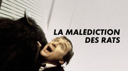 La malédiction des rats