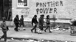 Black panthers : prémices d’une révolution