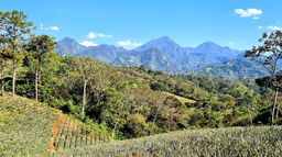 Le Honduras : entre forêt tropicale et plages