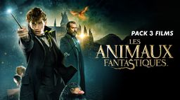 Pack 3 films LES ANIMAUX FANTASTIQUES