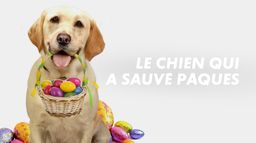 Le chien qui a sauvé Pâques