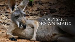 L'odyssée des animaux