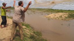Bêtes de ferme