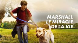 Marshall, le miracle de la vie