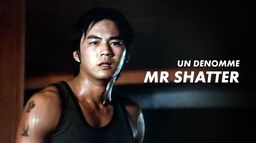 Mr. Shatter