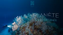 Planète Méditerranée