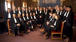 Ténoras, paroles d'avocates