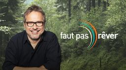 Faut pas rêver