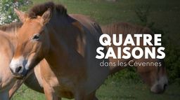 Quatre saisons dans les Cévennes