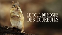 Le tour du monde des écureuils