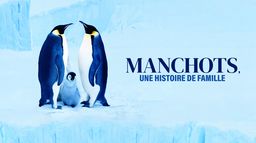 Manchots, une histoire de famille