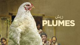 Plumes