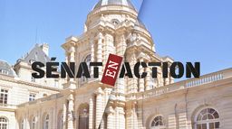 Sénat en action