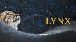 Lynx