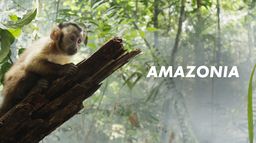 Amazonia