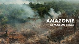 Amazonie, la maison brûle