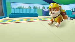 Paw Patrol, la Pat'Patrouille - Courts