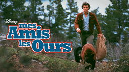 Mes amis les ours