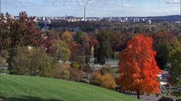 Arlington : appel à l'honneur