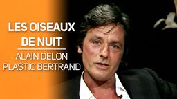 Les oiseaux de nuit