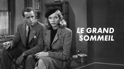 Le grand sommeil (Director's Cut)