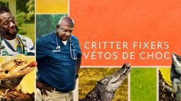 Critter Fixers : Vétos de choc