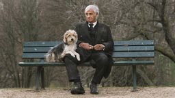 Un homme et son chien