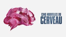 Cinq nouvelles du cerveau