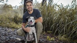 Bear, chien sauveur de koalas