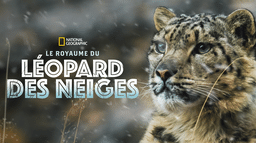 Le royaume du léopard des neiges