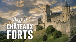 L'âge d'or des châteaux forts