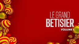 Le grand bêtisier