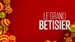 Le grand bêtisier