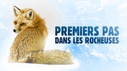 Premiers pas dans les Rocheuses