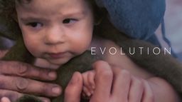 Evolution