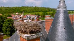 La vie sauvage des monuments : Les résistants