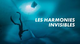 Les harmonies invisibles