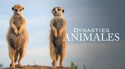 Dynasties