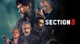 Section 8