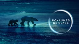 Royaumes de glace